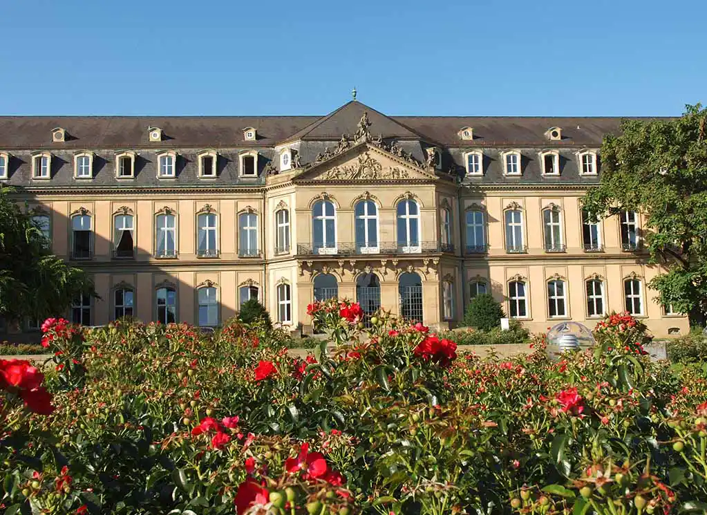 TVS SCS Sameday courier services in Newcastle