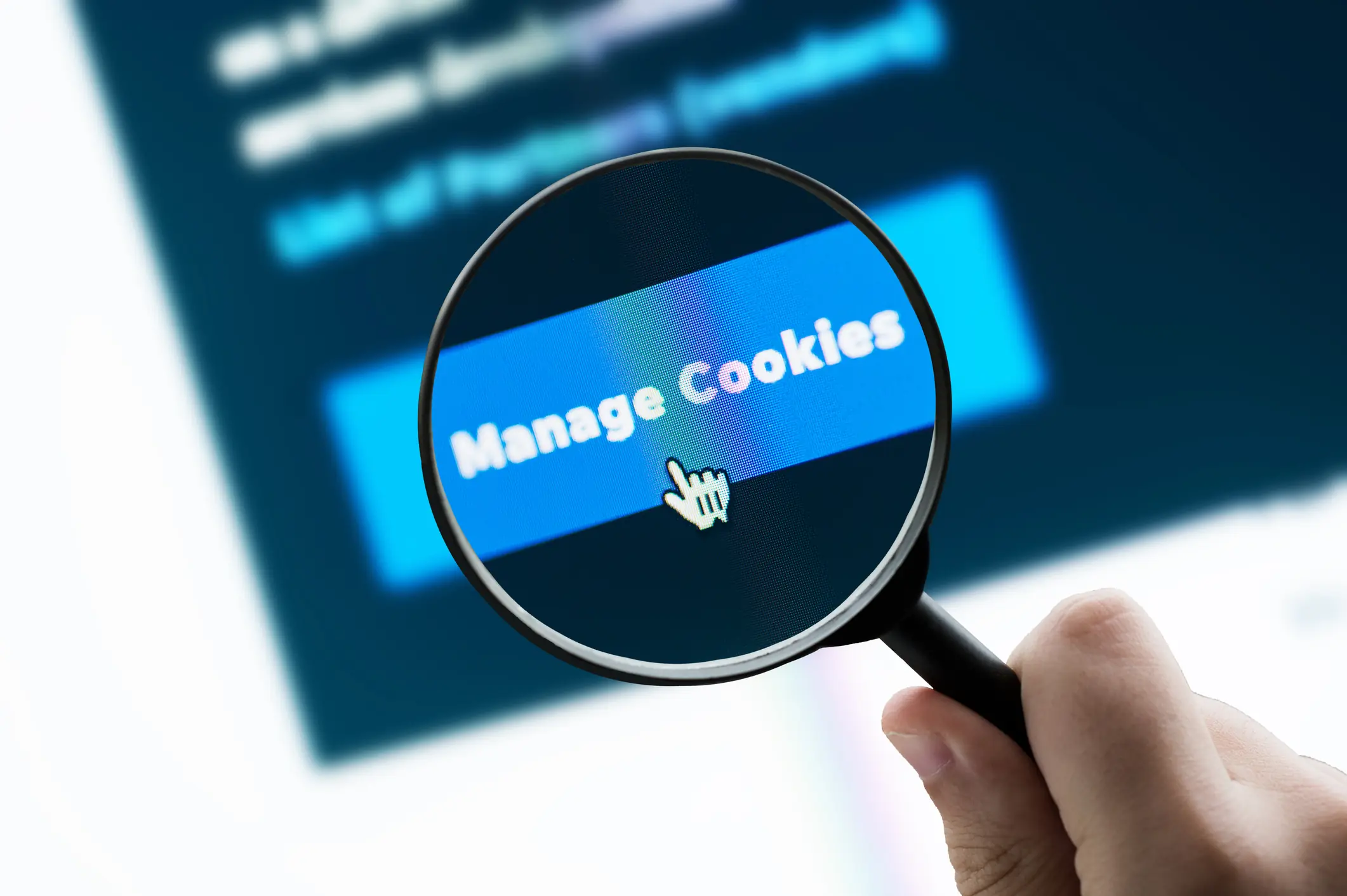 service-banner
