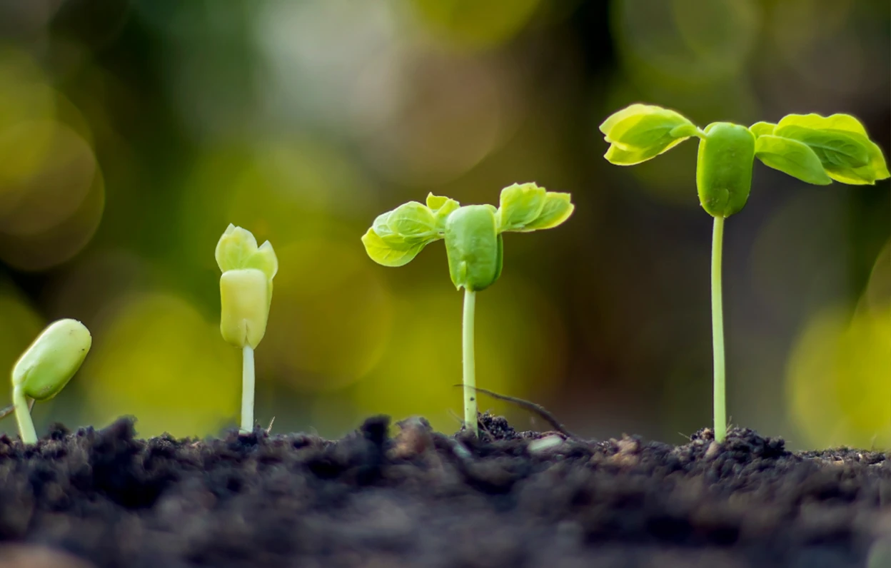 Creating a sustainable future